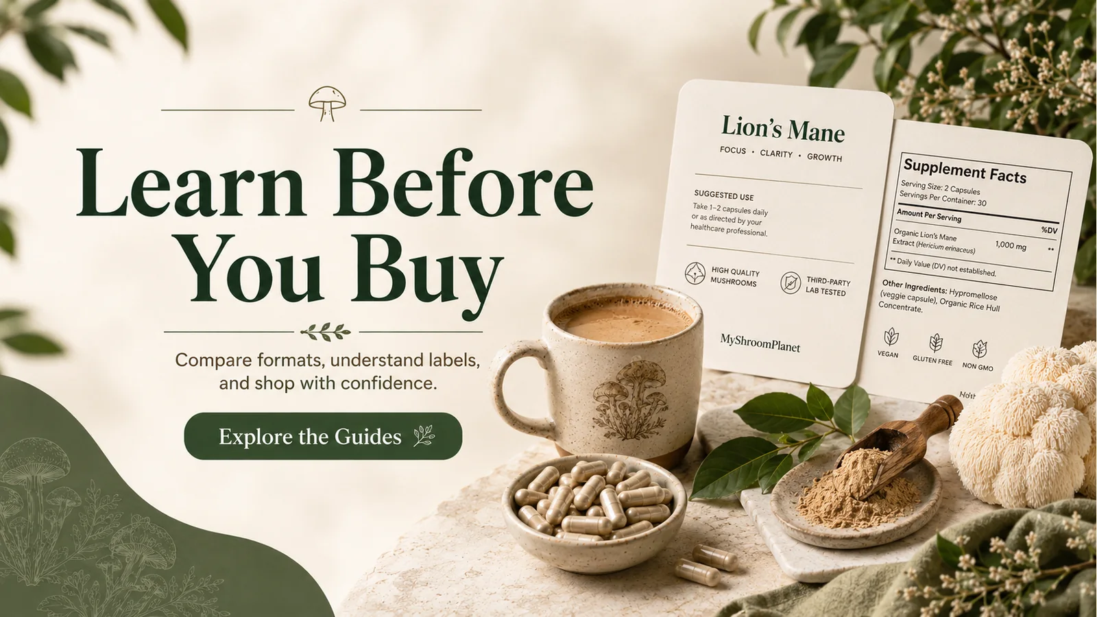 mushroom supplements decision guide