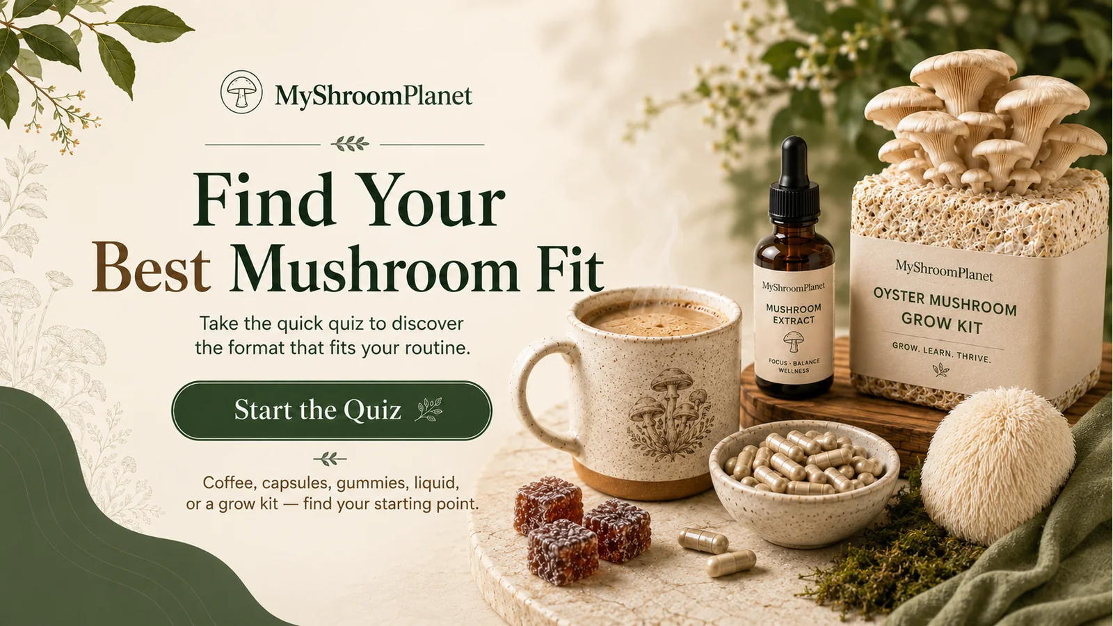 Find your best mushroom fit with coffee, capsules, gummies, liquid extract, and a grow kit