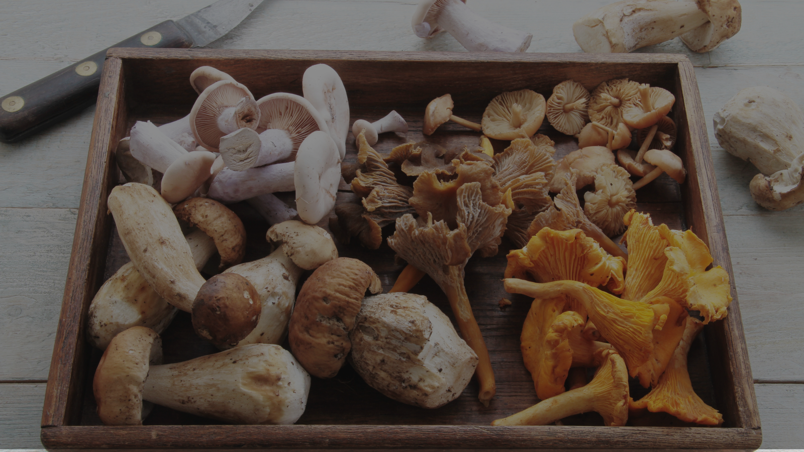 Mushroom decisions without the fog