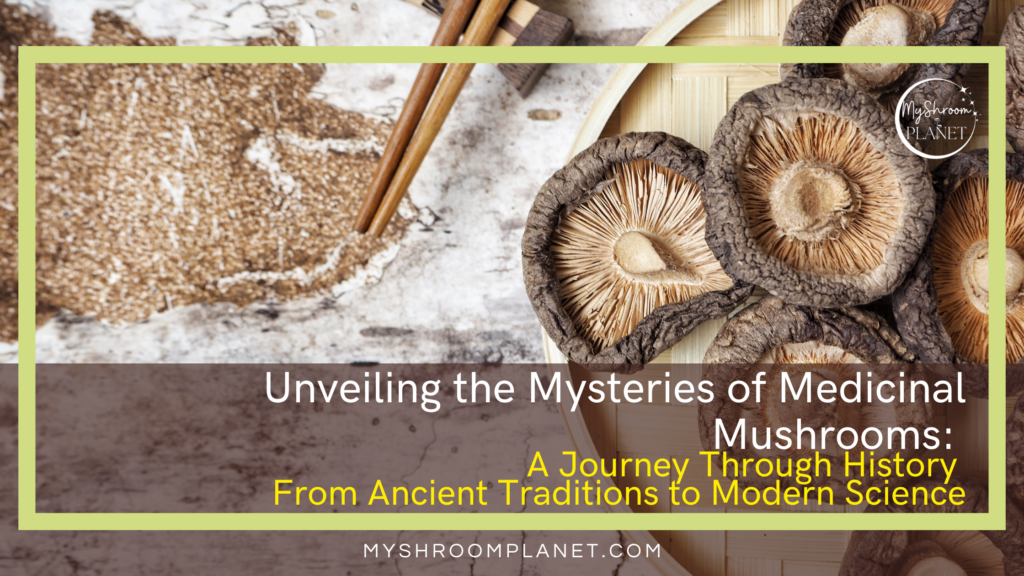 Unveiling the Mysteries of Medicinal Mushrooms From Ancient Traditions